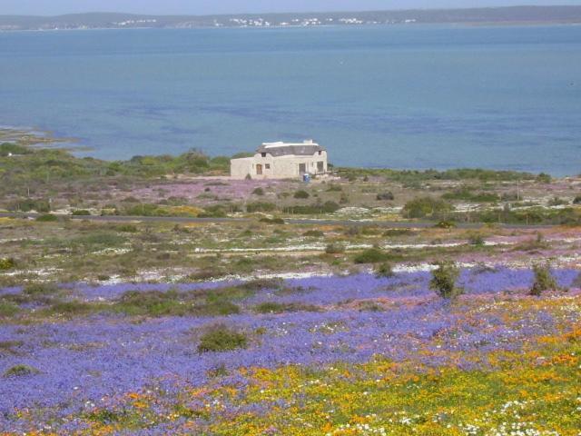 Makarios B&B Langebaan Zewnętrze zdjęcie